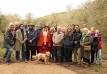 Longmarsh Boardwalk open as part of Saltmarsh Project