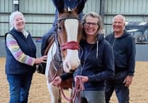 Erme Valley Riding for the Disabled is looking for volunteers