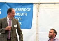 Volunteer Treasurer Needed for South Hams Chamber