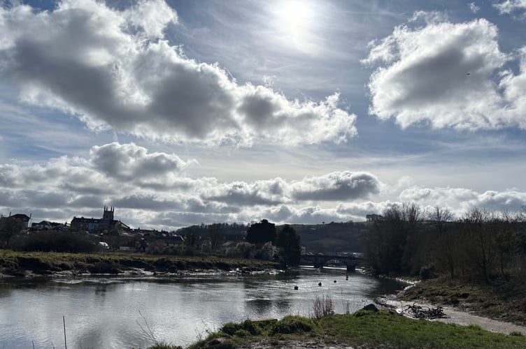Totnes Carolyn Norris