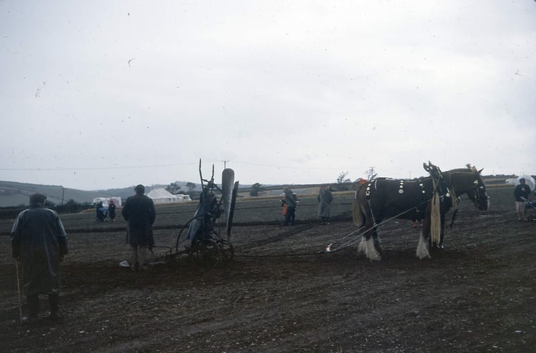Vintage machinery rally 1976, horses ploughing