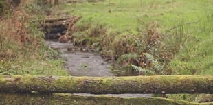 Caroline Snow | Film highlights work of Dartmoor farmers