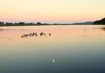 Would you trade Devon for anywhere else?