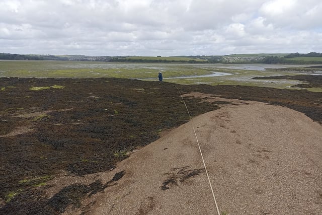 Nature Diary by Nigel Mortimer | Marine marvels cling to the Saltstone