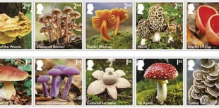Stamps showcasing the magic of mushrooms