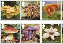 Stamps showcasing the magic of mushrooms