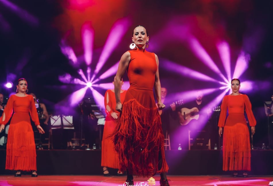 World class flamenco dancer coming to Dartington