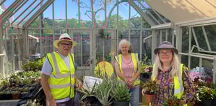 Dartmouth Green Partnerships celebrates 52 years of horticulture 