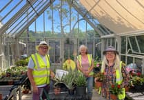 Dartmouth Green Partnerships: 52 Years of horticultural excellence