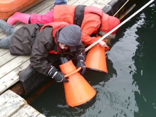 Nature Diary by Nigel Mortimer | Shaping the future of estuaries