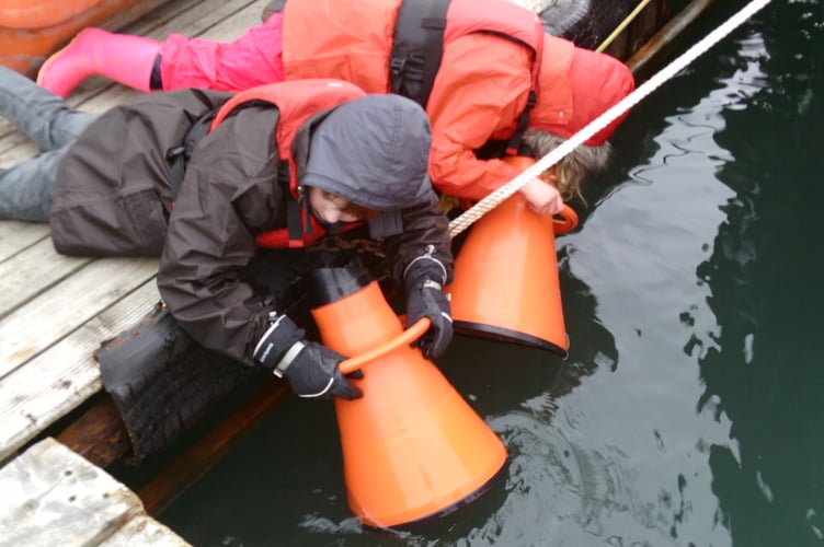 Estuaries - you need to look below the surface - Nigel Mortimer