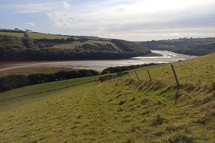 Avon Estuary - Nigel Mortimer