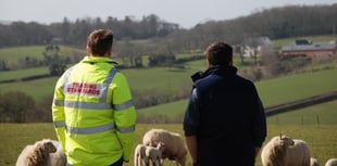 Devon farms ensure livestock have clean water access
