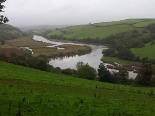 Pollution alert for River Dart swimmers