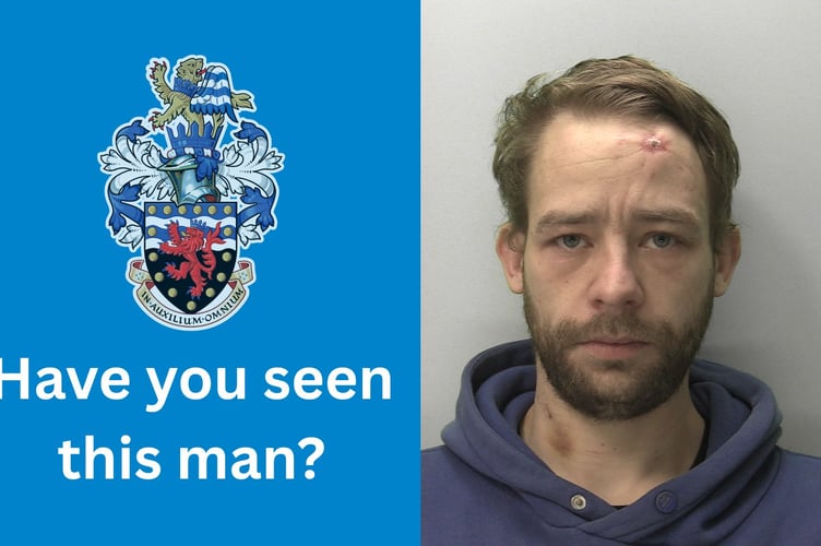 Wanted: Stevie Lee Palmer
