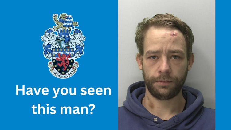 Wanted: Stevie Lee Palmer