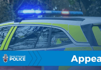 APPEAL: Serious assault on dog walker seeks witnesses