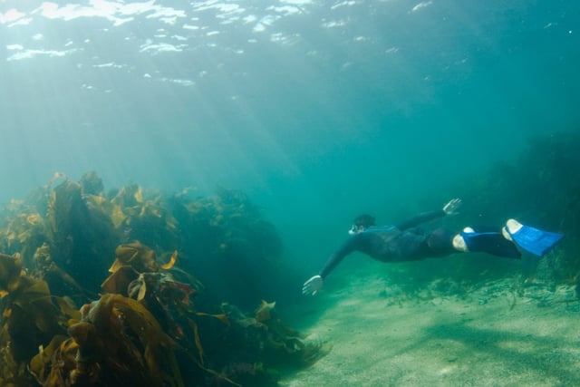 Marine conservation funding open for applications
