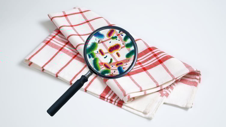 Is your tea towel spreading E. coli?
