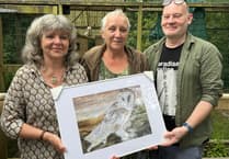 Celebrating 40 years of conservation with a unique artwork puzzle