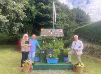 Woolwell in Bloom: Judges examine the displays