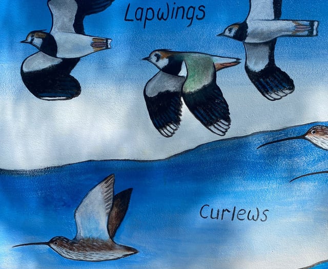 Modbury unveils new wildlife mural