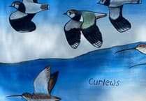 Discover Modbury's stunning new mural today