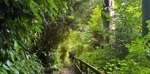 Readers Letters | August 7 