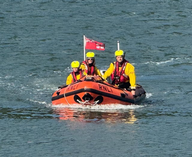 Dart RNLI rescue golden labrador Molly from fall near Dartmouth Castle