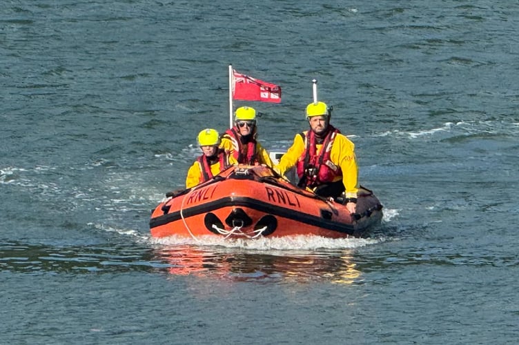 Dart lifeboat crew rescues a dog
