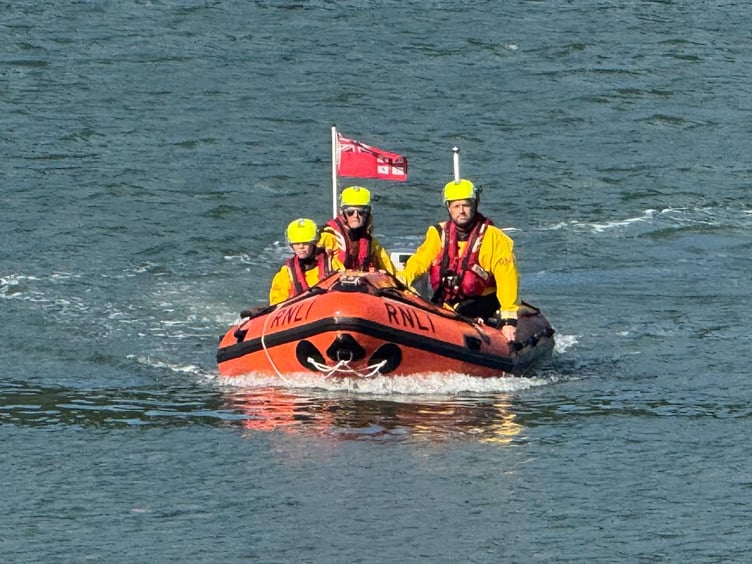 Dart lifeboat crew rescues a dog