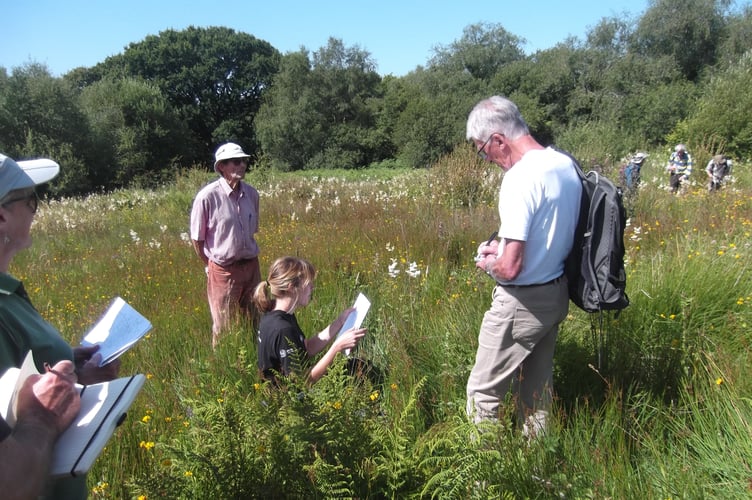 Lineke getting us ready for the count. Note Meadowsweet in the back