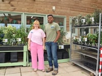 Tastes of the Caribbean grown in the South Hams