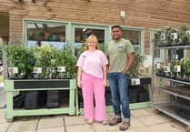 Tastes of the Caribbean grown in the South Hams