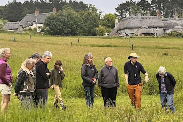 Orchard Farm leads meadow restoration efforts in the South Hams 