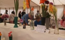 Loddiswell show sees record attendance and awards