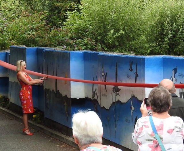 Modbury's Marvelous Mural unveiled by Janine Jansen