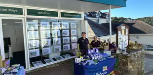 Support RNLI Fundraisers at Newton Ferrers art sale