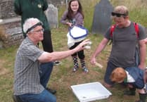 Nature Diary by Gordon Waterhouse | Moths, bugs and laughter shared