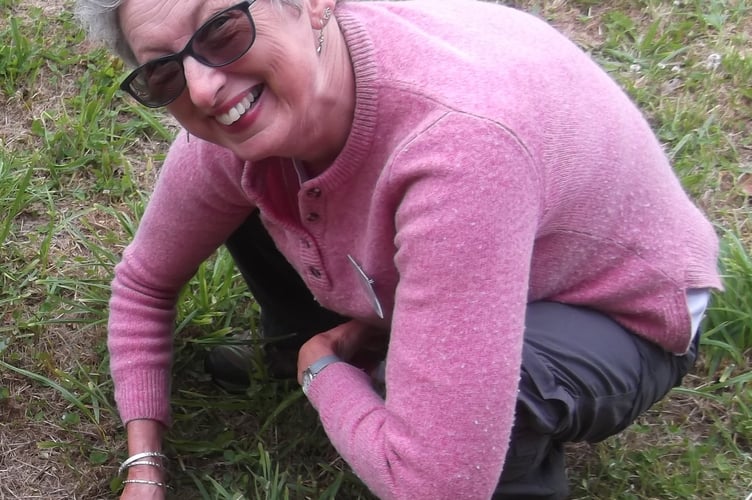 Fiona van Es, our poo expert, pointing out the hedgehog poo with a grass stem - Gordon Waterhouse