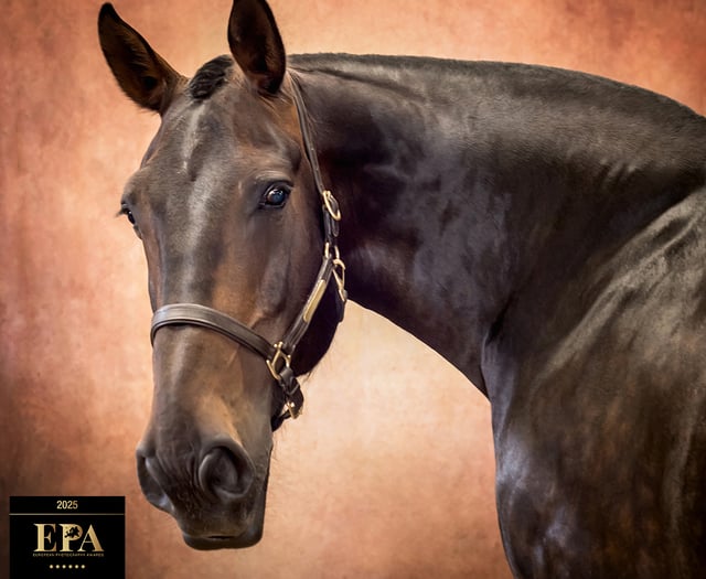 Martyn Norsworthy wins Gold at European Photography Awards