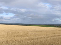 Octopus plans Bigbury wind turbine for renewables