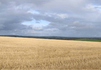 Octopus plans 90m wind turbine in Bigbury