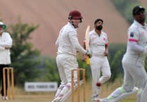 Fourth-straight relegation beckons for Dartington & Totnes Cricket Club