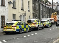 Police sergeant comments on incident in Ford Street, Tavistock