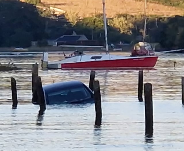 Driver and dog rescued from rising tide at Westcombe beach