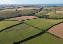 Is the landscape price too high