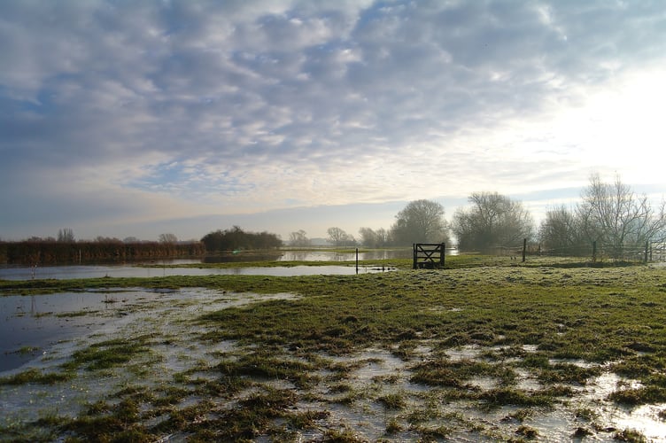 flooded land - Image by Heather Murphy from Pixabay