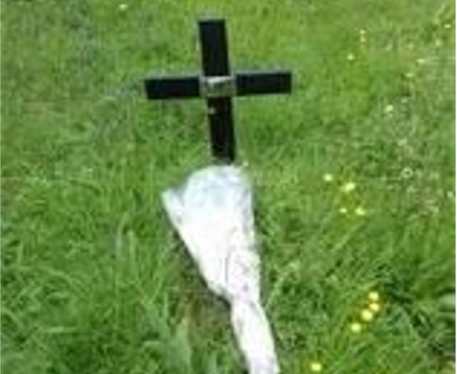 Memorial cross theft prompts police appeal