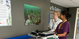 Explore Torbay: New HeArts Gallery exhibition opens 